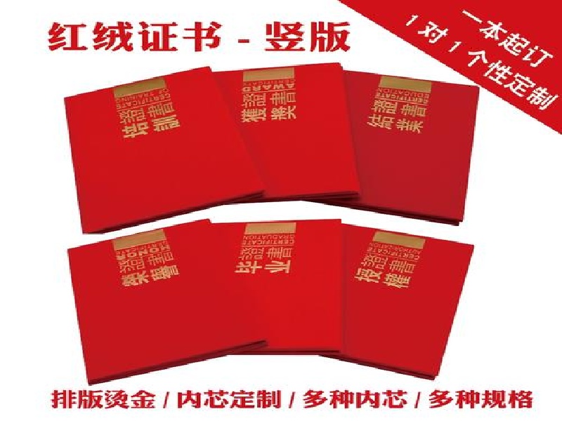 证件遗失补办替代