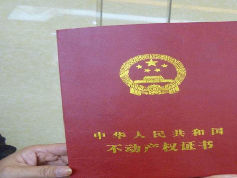 整套证件定制为什么比单件制作更省心