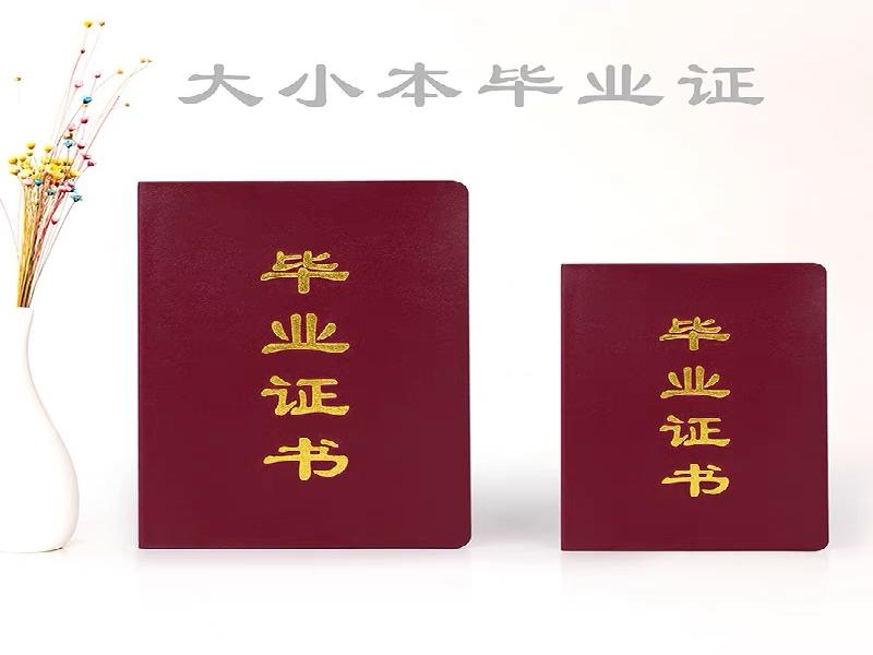 证件制作前需要准备哪些材料?一文讲清楚